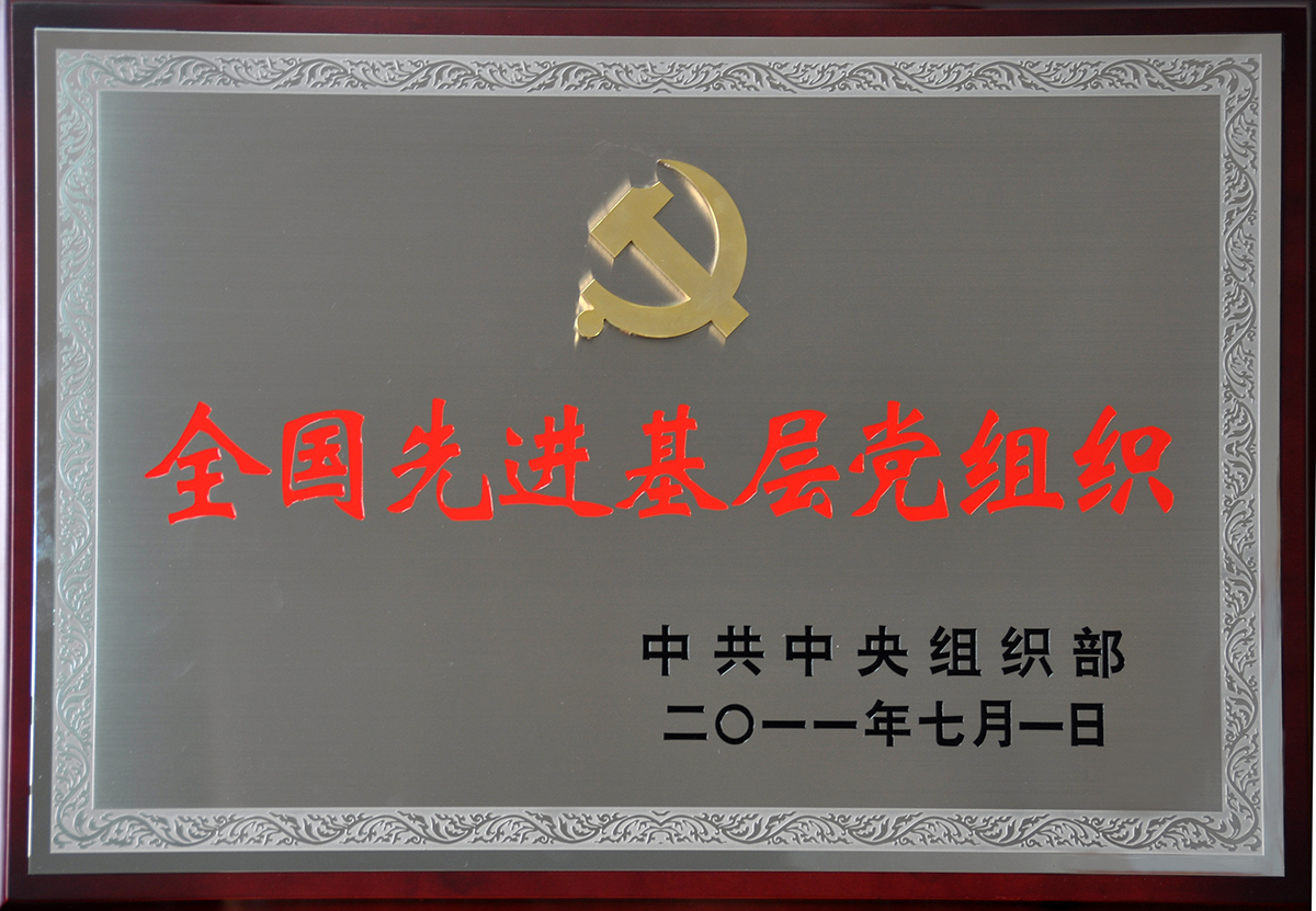 2011年7月，紅豆集團(tuán)黨委榮獲“全國先進(jìn)基層黨組織”稱號